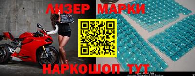 прущие грибы Кандалакша
