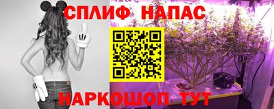 прущие грибы Кандалакша