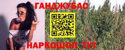 прущие грибы Кандалакша
