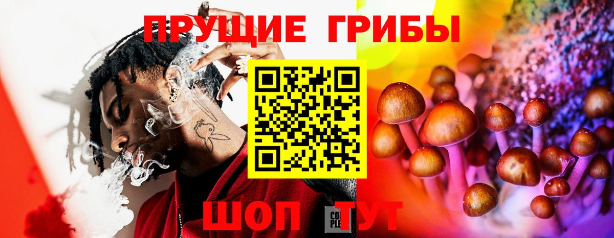 Котельники  Галлюциногенные грибы Psilocybe  Вход с VPN 